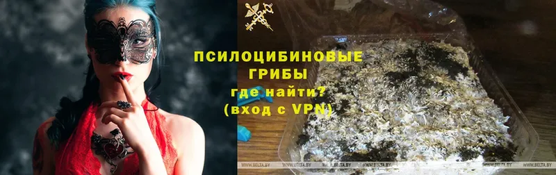 Галлюциногенные грибы GOLDEN TEACHER  Верхний Уфалей 